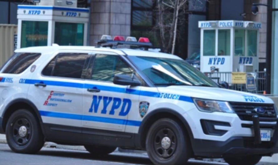 حوار في قلب نيويورك: بين المهنية و الانحراف